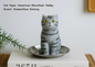 American Shorthair candle (Silver Tabby)